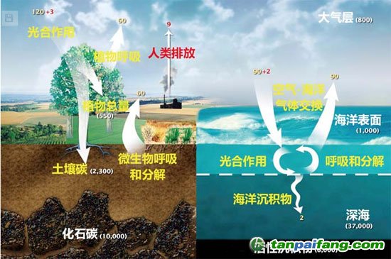 從碳在地球上的循環(huán)過程來看，森林、土壤、海洋均具備大儲量的碳匯能力。圖中數(shù)據(jù)的單位為10億噸/年。來源：NASA網(wǎng)站
