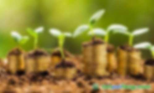 開發(fā)林業(yè)碳匯需要滿足哪些條件？