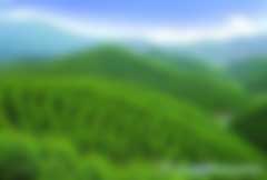 林業(yè)碳匯林補(bǔ)貼騙局是怎么回事兒？