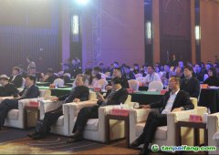 2019中國綠色城市指數(shù)TOP50發(fā)布，哪些城市是綠色標桿？