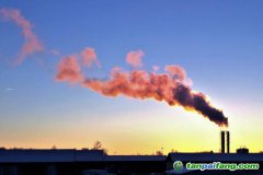 人社部碳交易師和碳排放管理師哪個好？證書有用嗎？再哪里報考的官方報名入口來了
