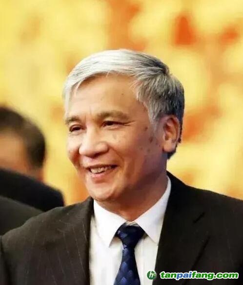 全國(guó)人大常委會(huì)副委員長(zhǎng)丁仲禮：中國(guó)碳中和，可這樣“四步走”！