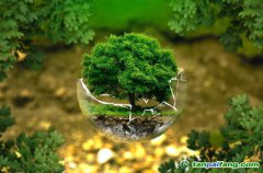 碳排放管理師證書(shū)考出來(lái)可以做哪些什么樣的工作？工資薪水能給多少錢(qián)？