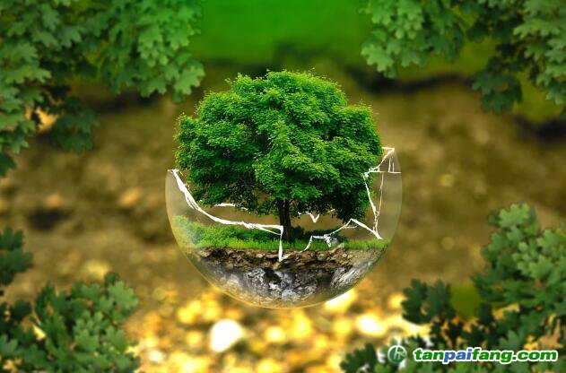 碳排放管理師證書考出來可以做哪些什么樣的工作？工資薪水能給多少錢？