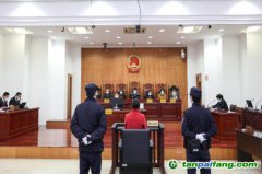 碳匯修復，解鎖生態(tài)司法綠色基因