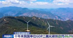 我國(guó)碳達(dá)峰、碳中和政策和行動(dòng)保障體系已基本形成