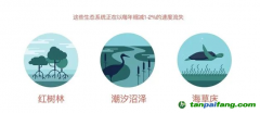 183元/噸！碳匯爆發(fā)，CCER市場價(jià)格的風(fēng)向標(biāo)？