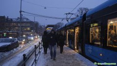 全球首個商業(yè)“碳墳場”什么樣？