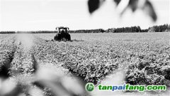 做好農(nóng)業(yè)氣候區(qū)劃，應(yīng)對(duì)全球變暖“烤”驗(yàn)